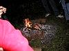 20020501-bd_074.jpg